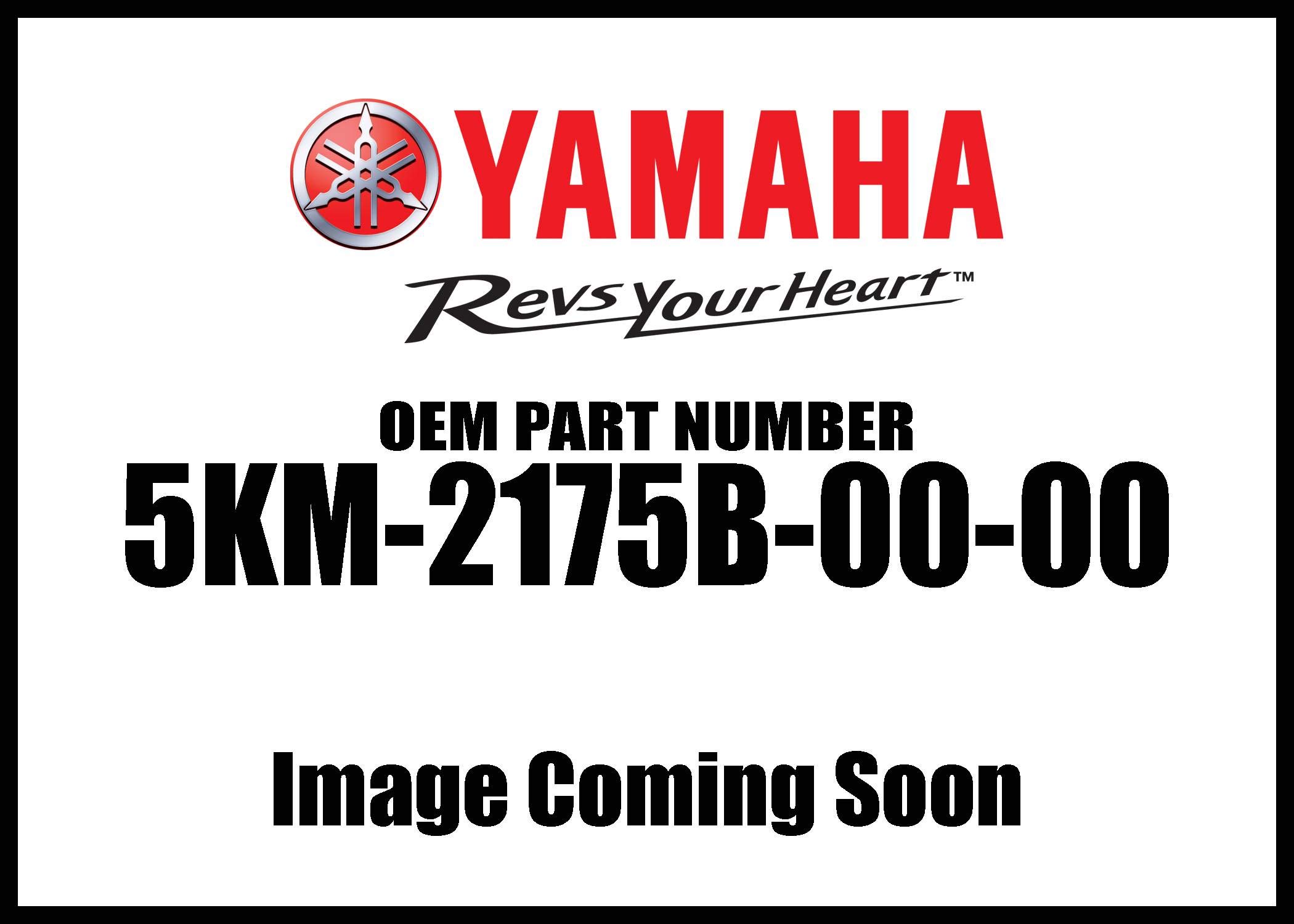 Amazon.com: YAMAHA 5KM-2175B-00-00 Tuning Fork Mark; ATV